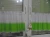 1735500793 (1).webp